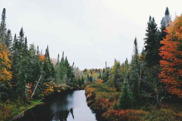 A calm river surrounded by trees with changing leaves.