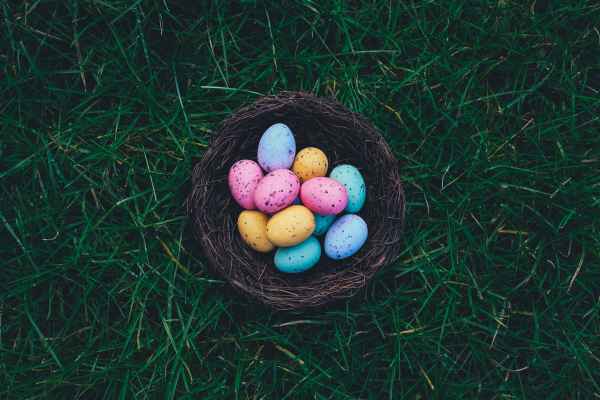 A basked of colored eggs sitting on green grass.